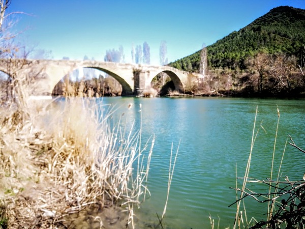 Puente sobre el Aragon